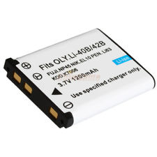 Casio Exilim QV-R100RD Camera Battery